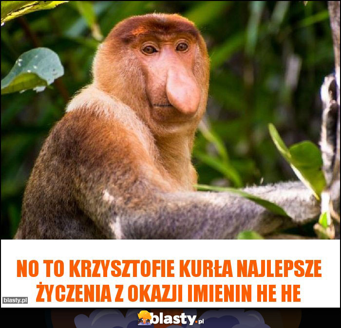 No to Krzysztofie kurła najlepsze życzenia z okazji imienin he he