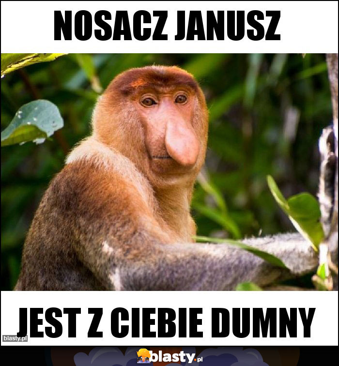 nosacz Janusz