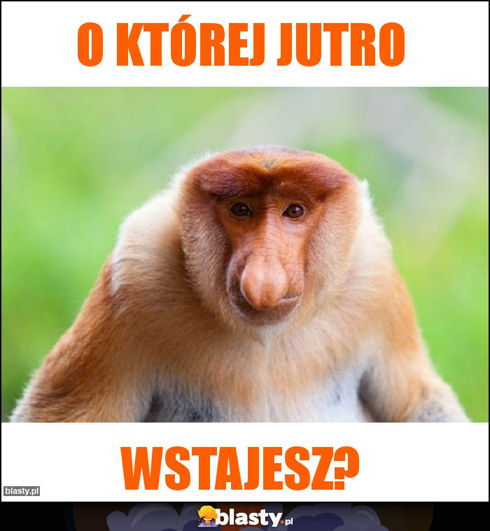 O której jutro