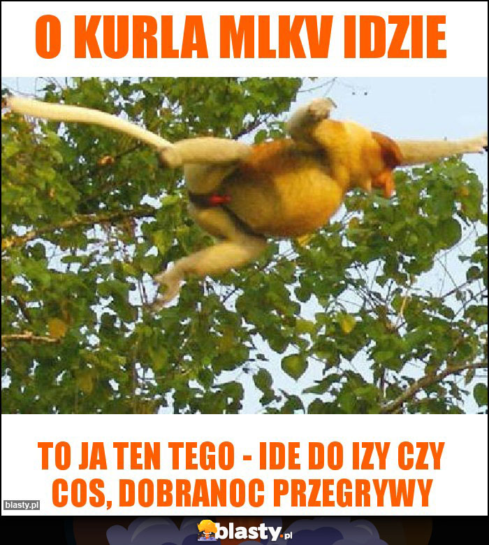 o kurla mlkv idzie