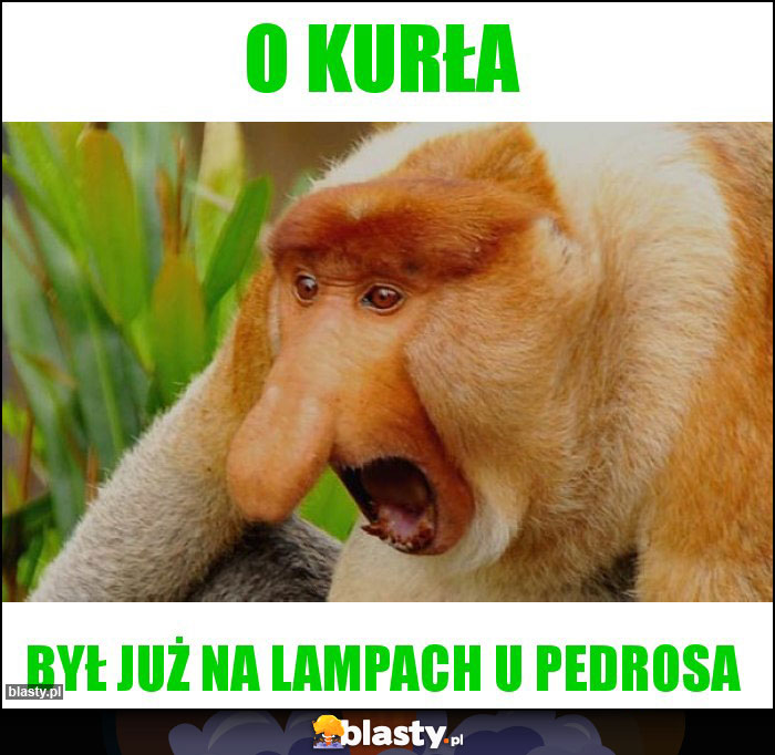 O KURŁA