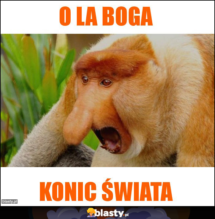 O la boga