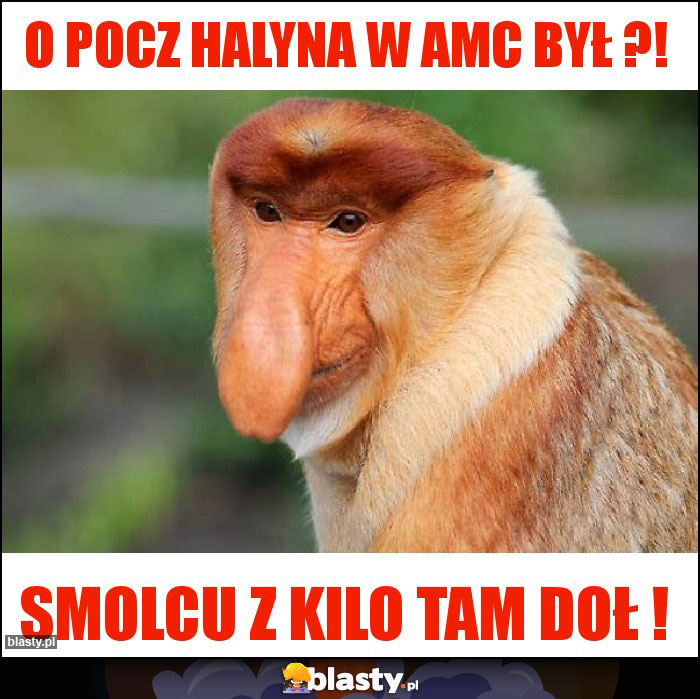 O pocz Halyna w AMC był ?!