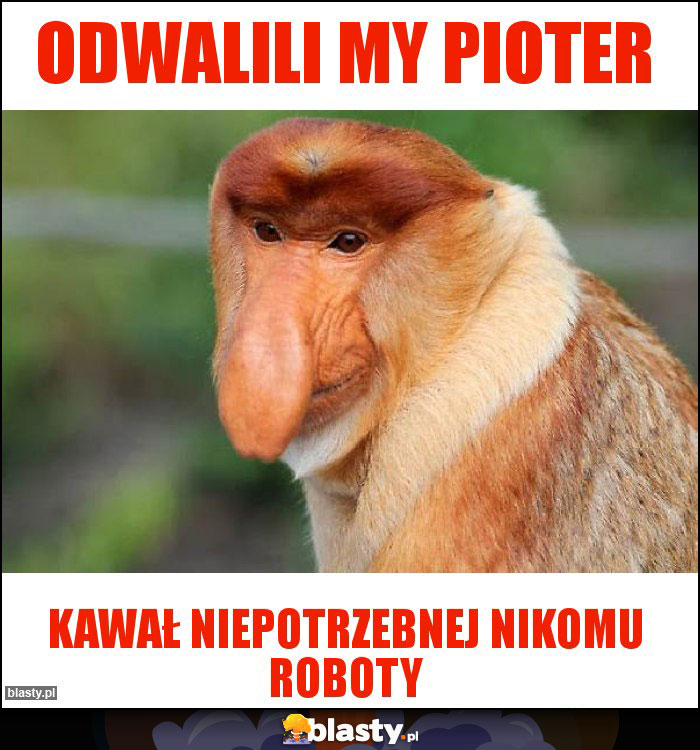 Odwalili my pioter