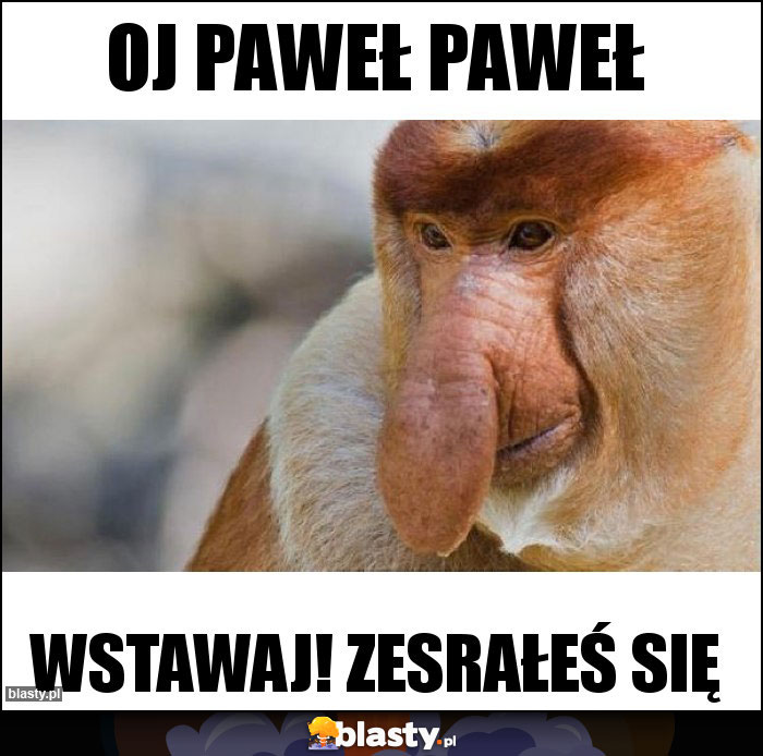 OJ PAWEŁ PAWEŁ