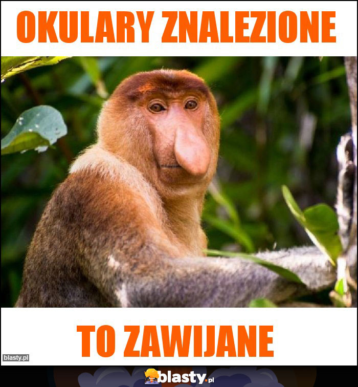 Okulary znalezione