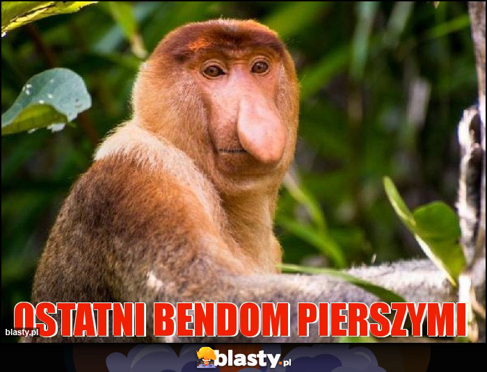 Ostatni bendom pierszymi