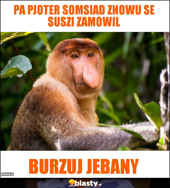 Pa pjoter somsiad znowu se suszi zamowil