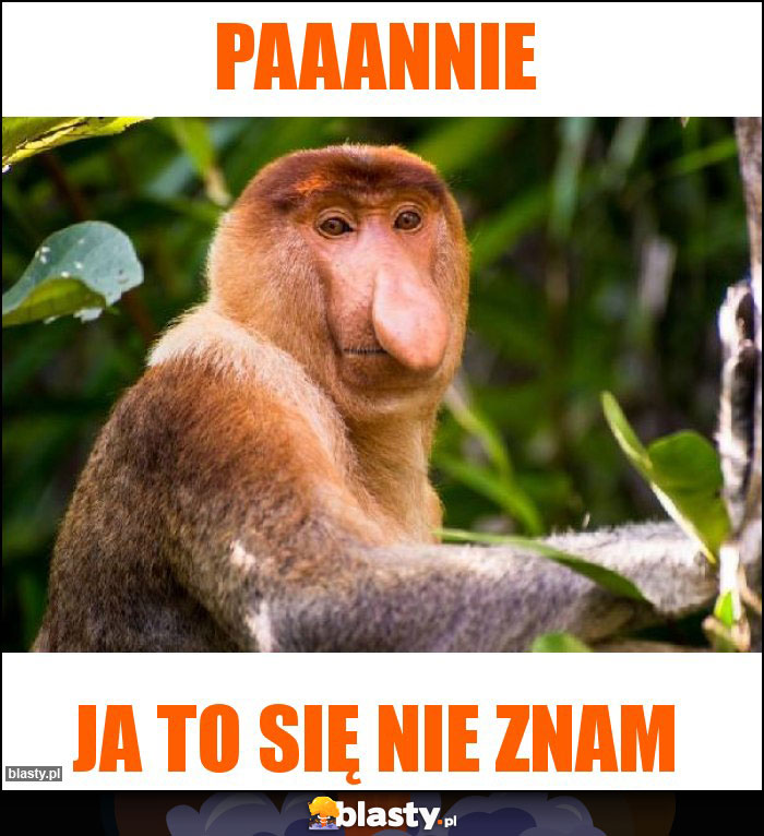 Paaannie