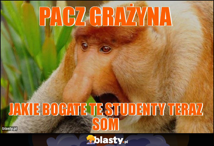 PACZ grażyna