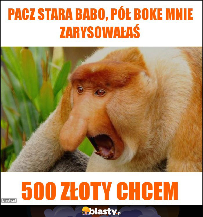 PACZ STARA BABO, PÓŁ BOKE MNIE ZARYSOWAŁAŚ