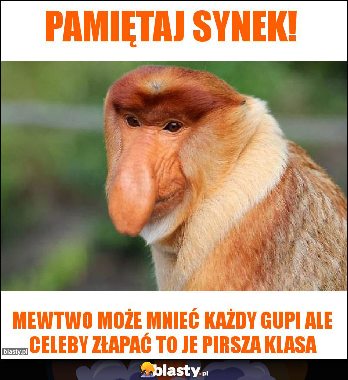 Pamiętaj Synek!