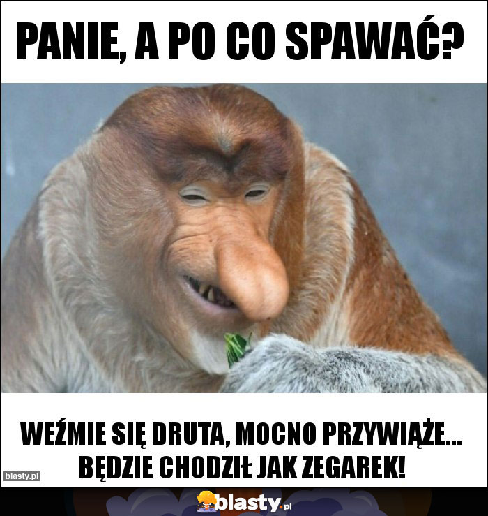 Panie, a po co spawać?