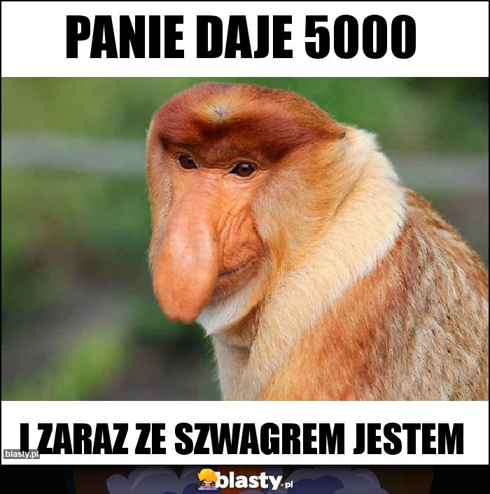 Panie daje 5000