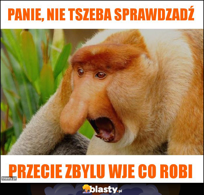 PANIE, NIE TSZEBA SPRAWDZADŹ