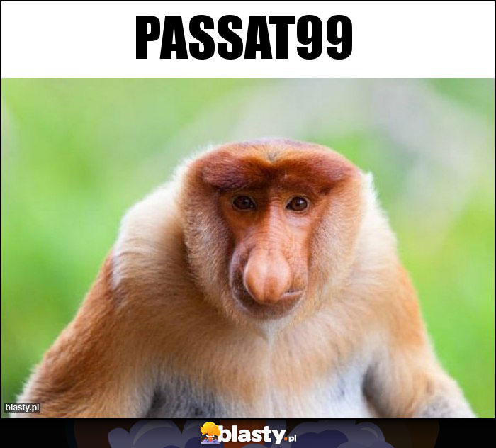 Passat99