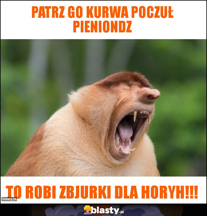 Patrz go kurwa poczuł pieniondz