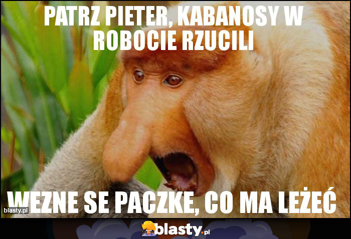 Patrz Pieter, Kabanosy w robocie rzucili