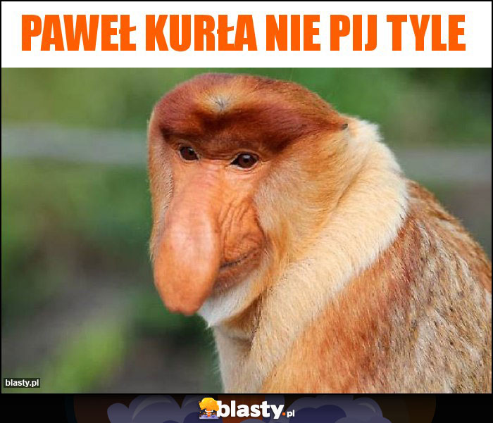 Paweł kurła nie pij tyle