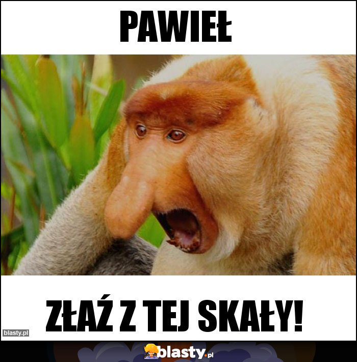 Pawieł