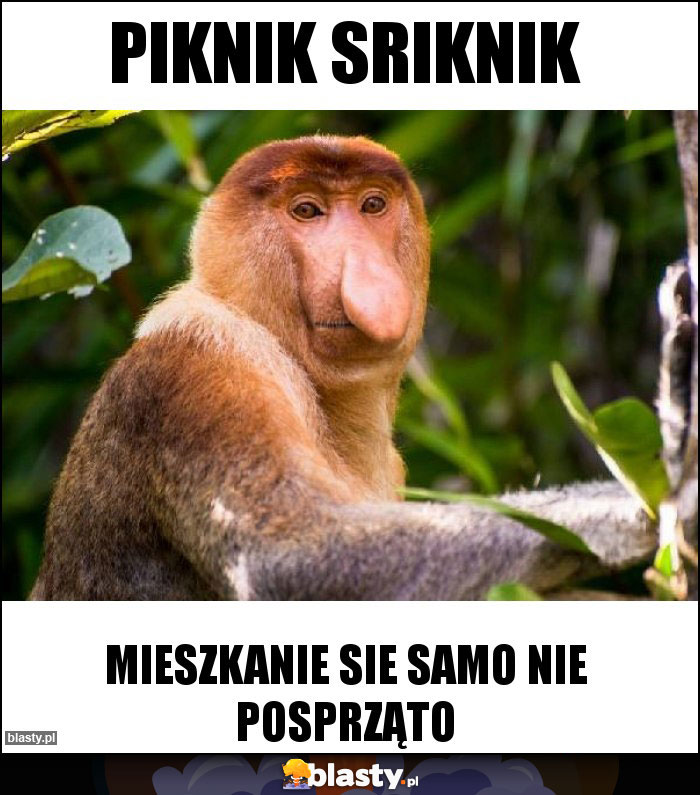 PIKNIK SRIKNIK