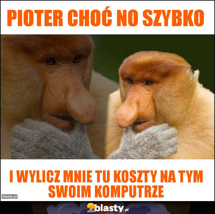 Pioter choć no szybko