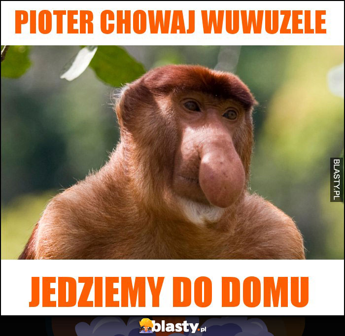 PIOTER CHOWAJ WUWUZELE