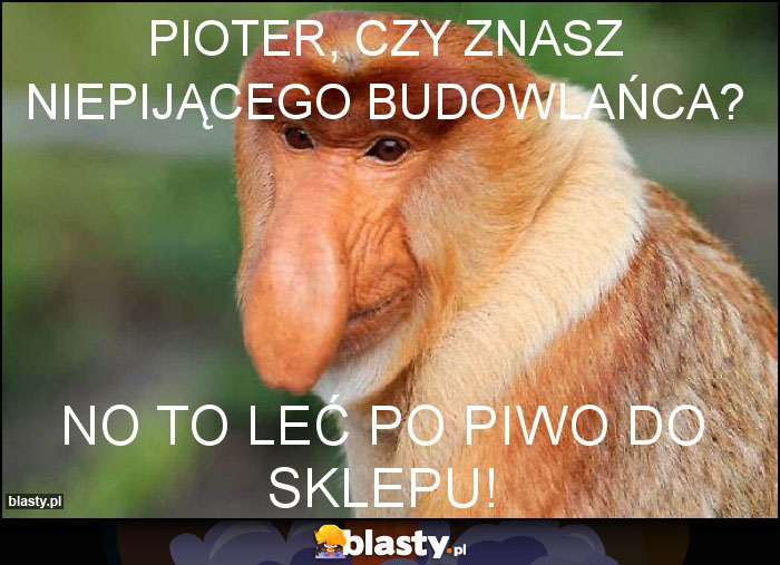 Pioter, czy znasz niepijącego budowlańca?