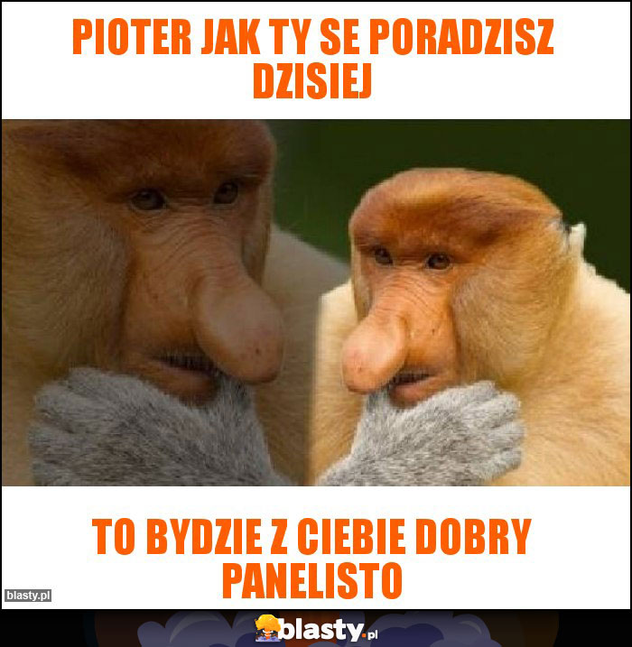 Pioter jak ty se poradzisz dzisiej