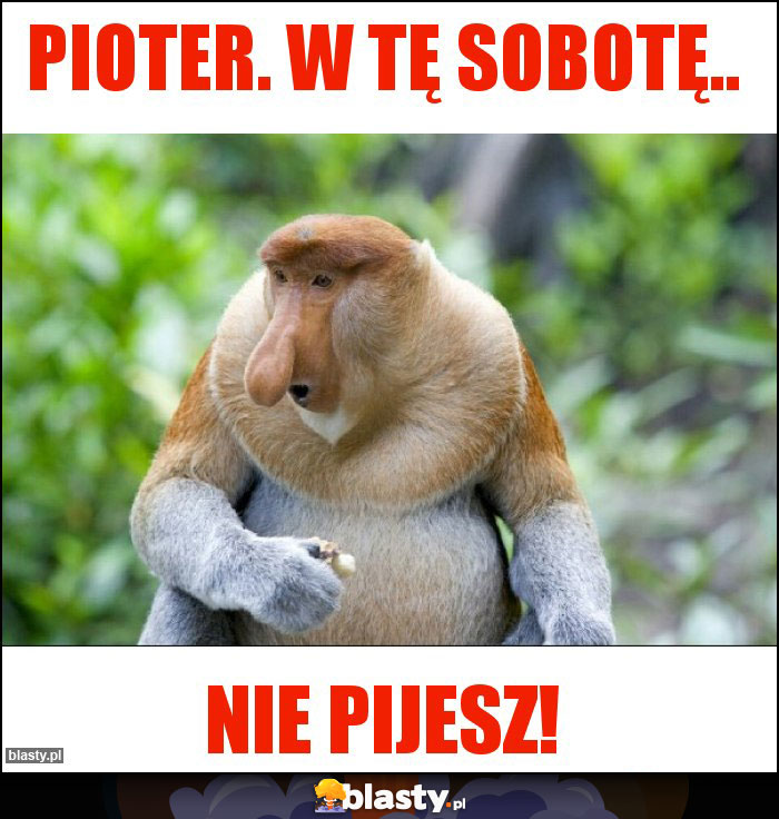 Pioter. W tę sobotę..