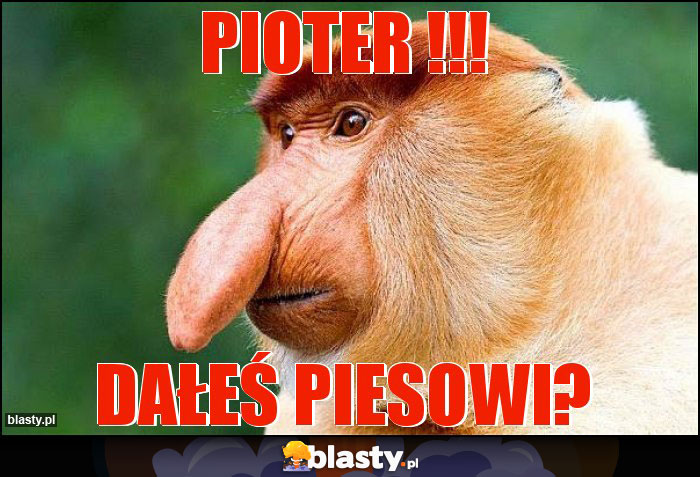 Pioter !!!