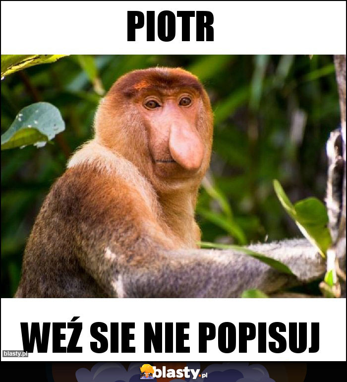 piotr