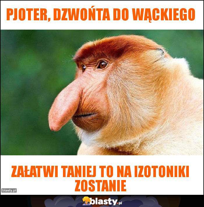 Pjoter, dzwońta do Wąckiego