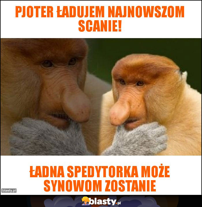 Pjoter ładujem najnowszom scanie!