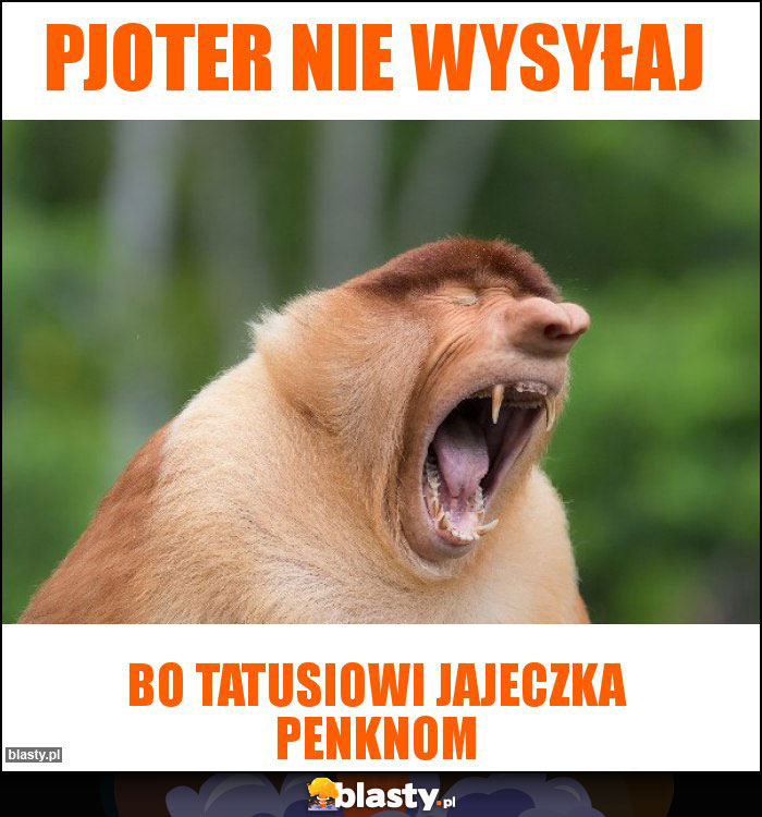 Pjoter nie wysyłaj