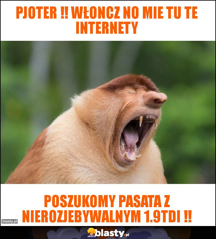 PJOTER !! WŁONCZ NO MIE TU TE INTERNETY