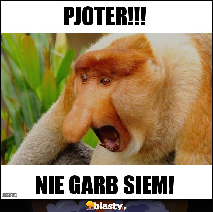 PJOTER!!!