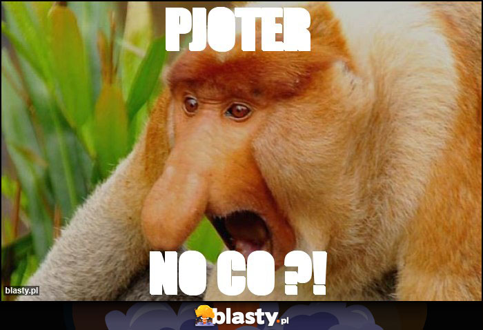 PJOTER