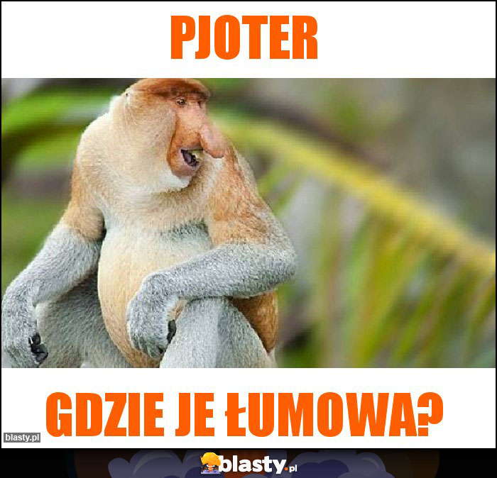 Pjoter