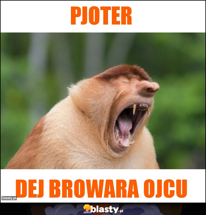 pjoter