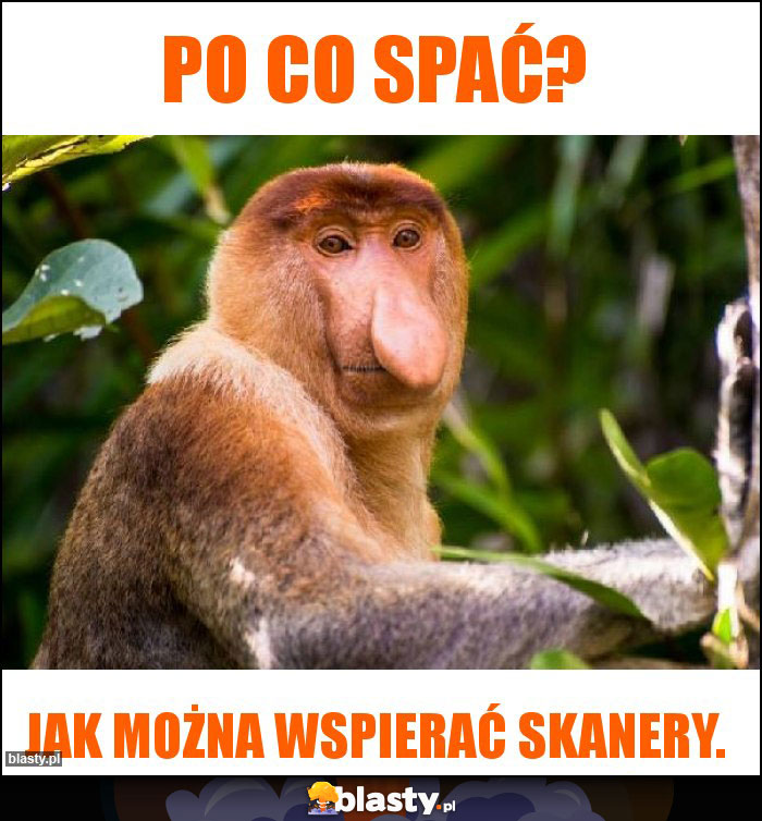 Po co spać?