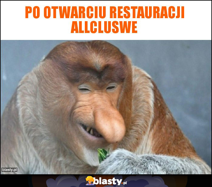 Po otwarciu restauracji allcluswe