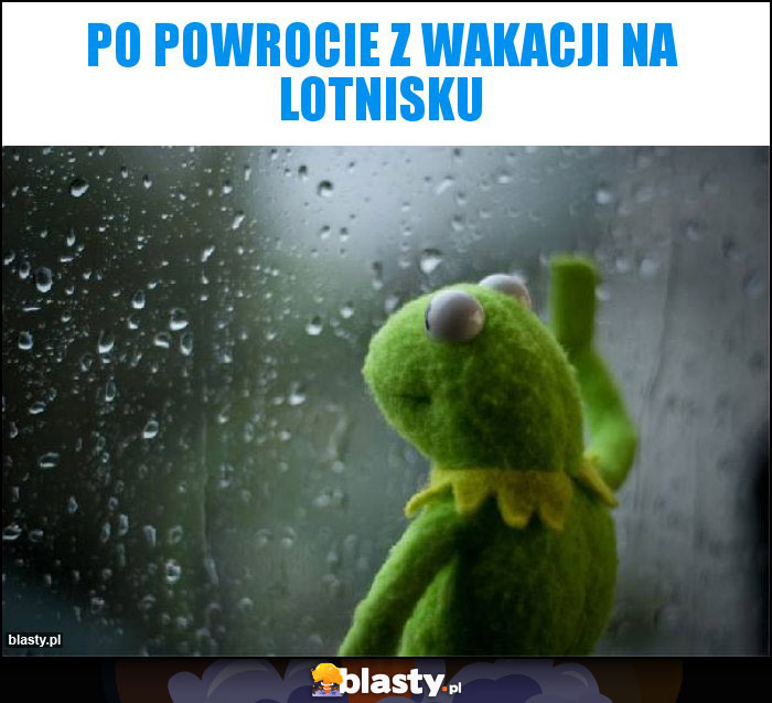 Po powrocie z wakacji na lotnisku