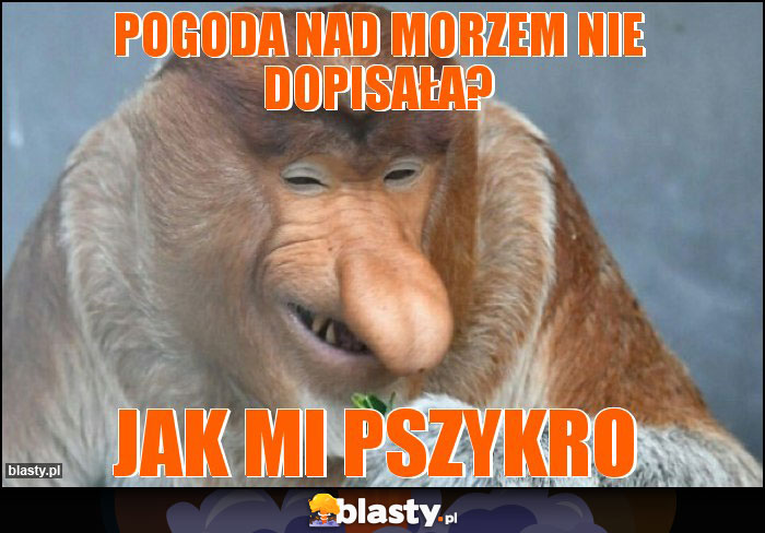 Pogoda nad morzem nie dopisała?