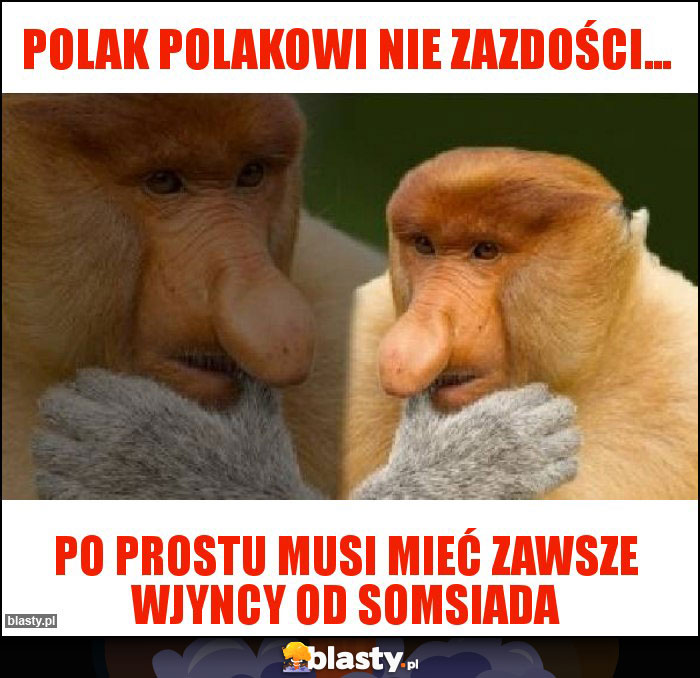 Polak polakowi nie zazdości...