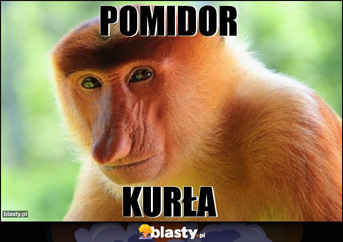 POMIDOR