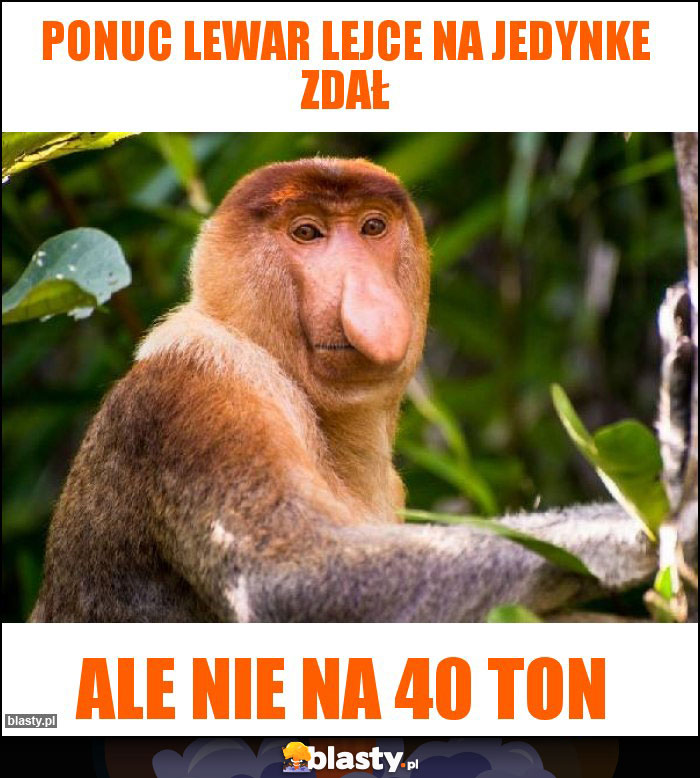 Ponuc lewar lejce na jedynke zdał