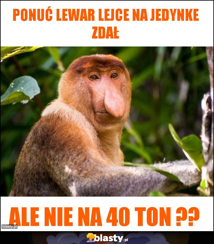 Ponuć Lewar lejce na jedynke zdał