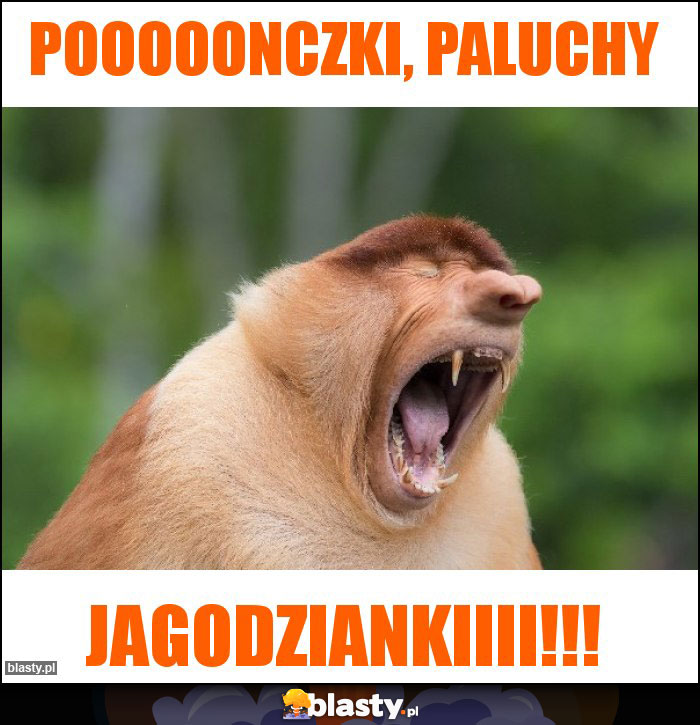 Pooooonczki, paluchy