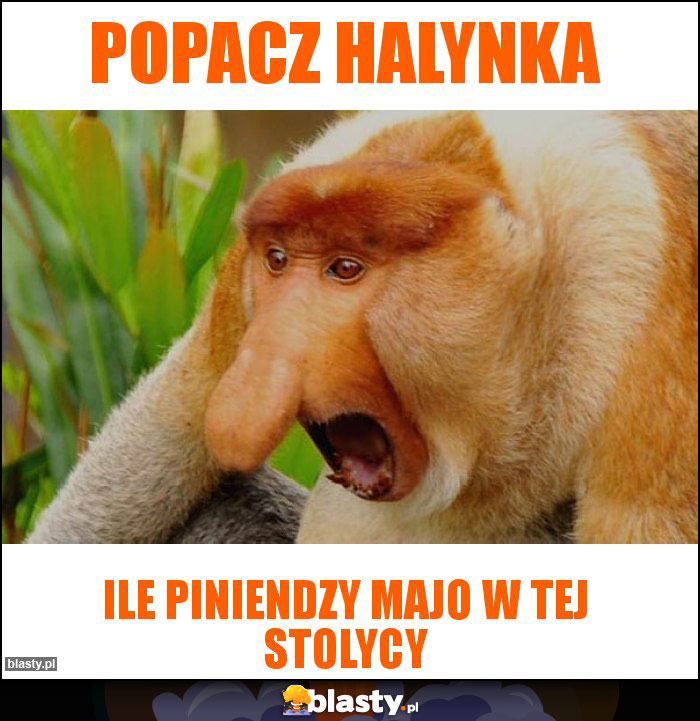 Popacz Halynka